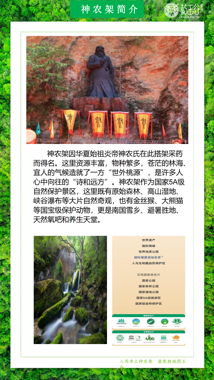 提取自神农架6天5晚疗休养之旅(1)(2)_2(1).png